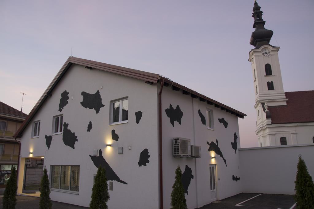 Hostel 101 Dalmatinac Vukovár Kültér fotó